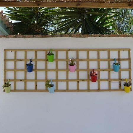 סהורה Casa-Estudio Pachamama מראה חיצוני תמונה
