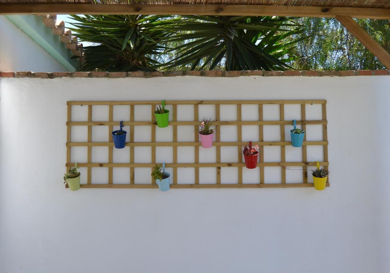 סהורה Casa-Estudio Pachamama מראה חיצוני תמונה